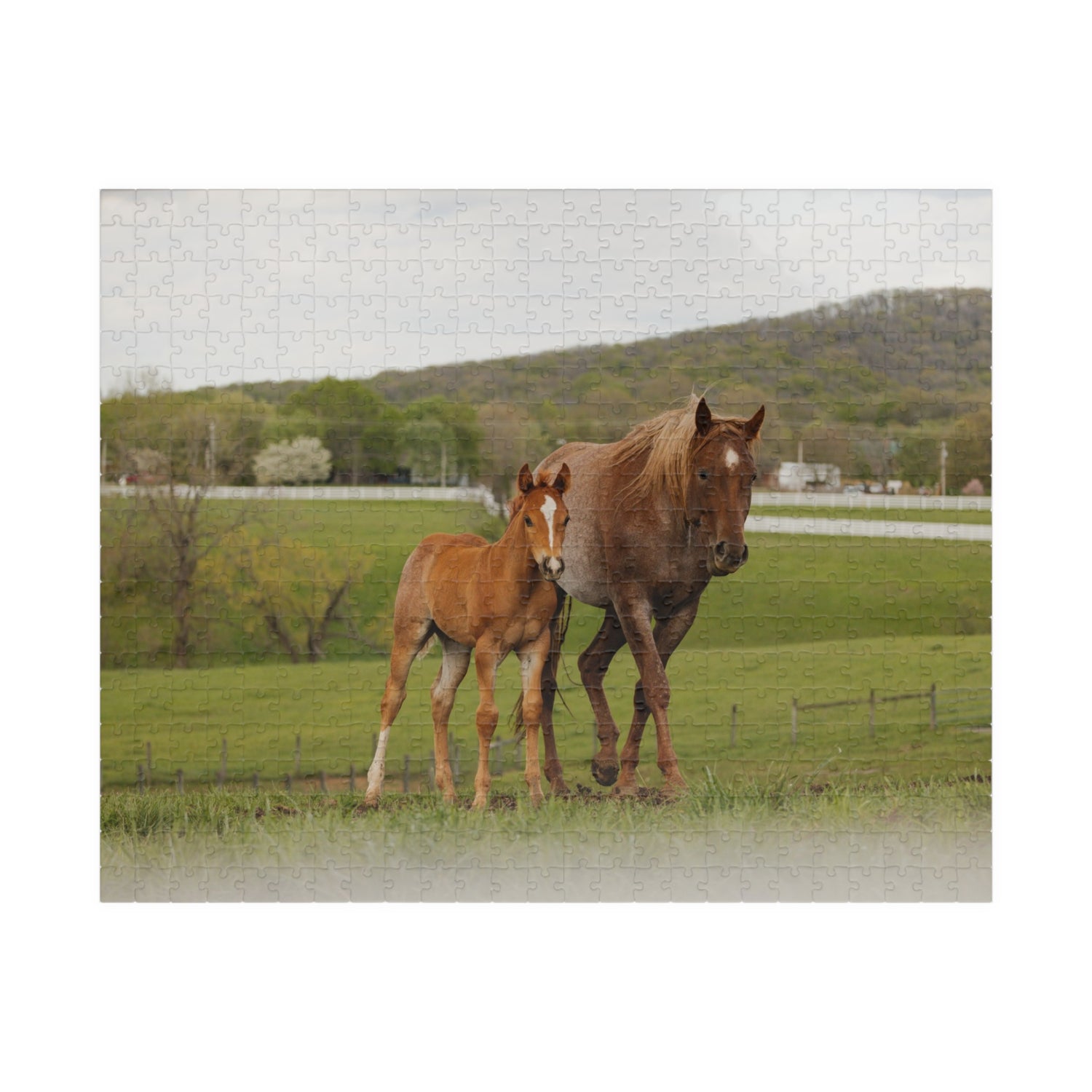 Ginger and Freddie Puzzle by Katie Van Slyke