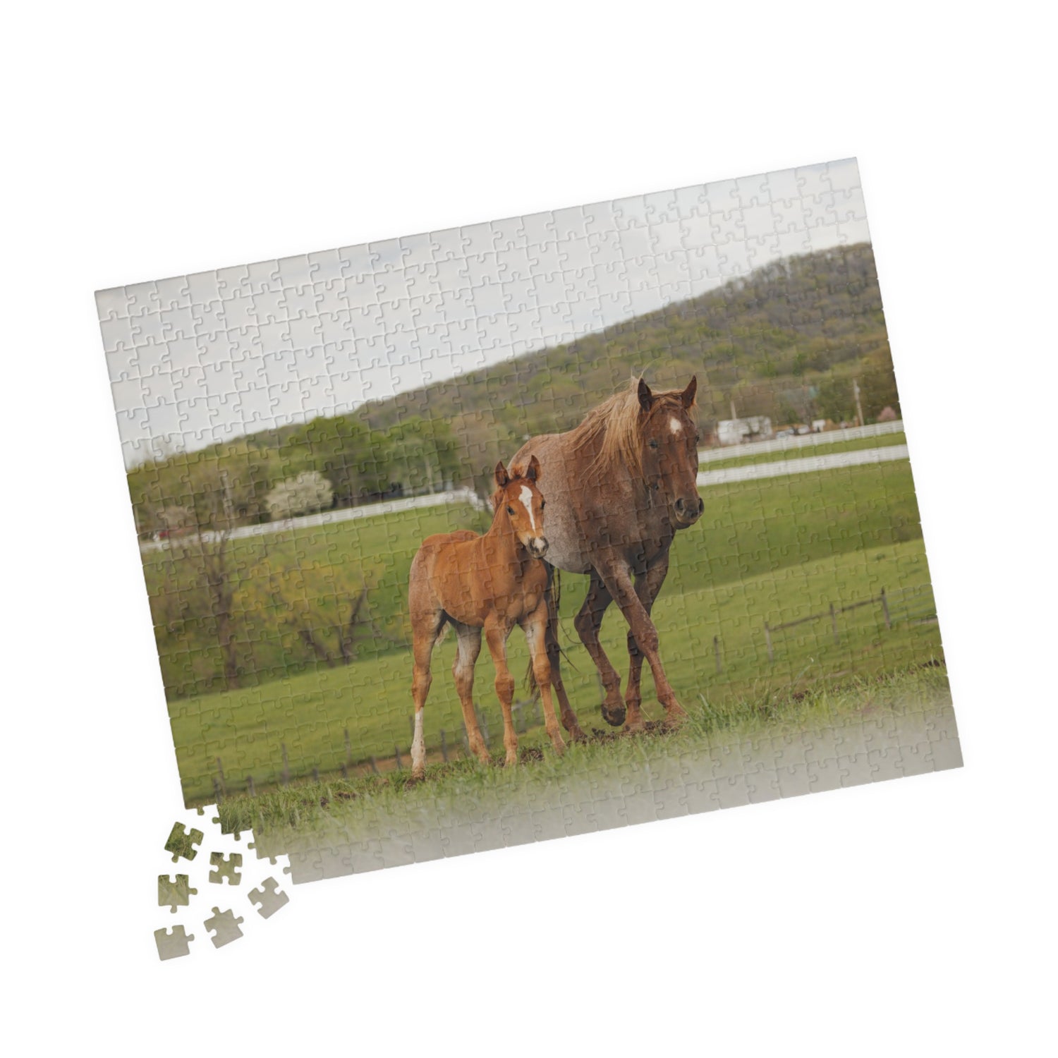 Ginger and Freddie Puzzle by Katie Van Slyke