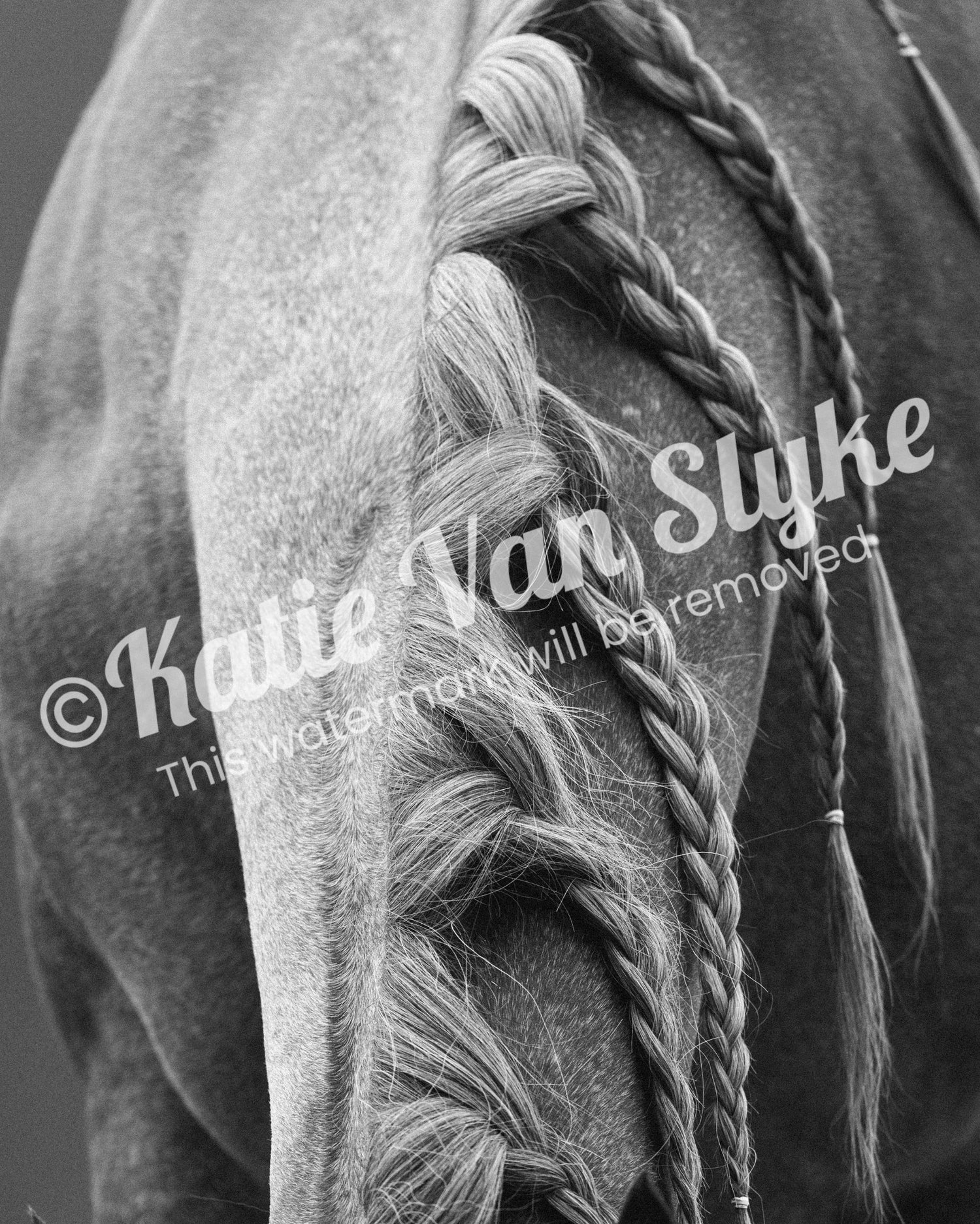 Ginger's Braids Digital Download by Katie Van Slyke™