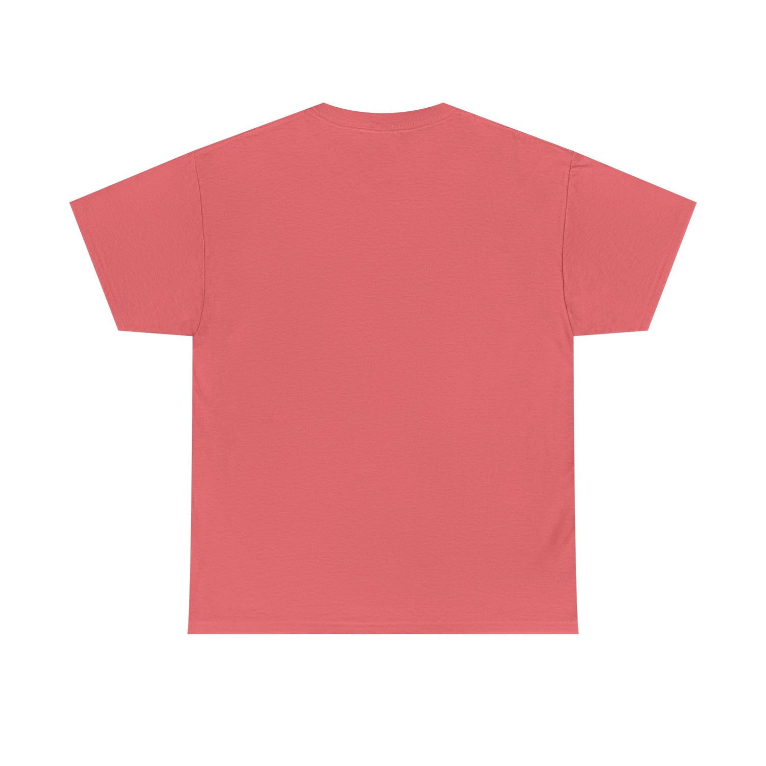 Glenn and Coco T-Shirt by Katie Van Slyke® Coral Silk back