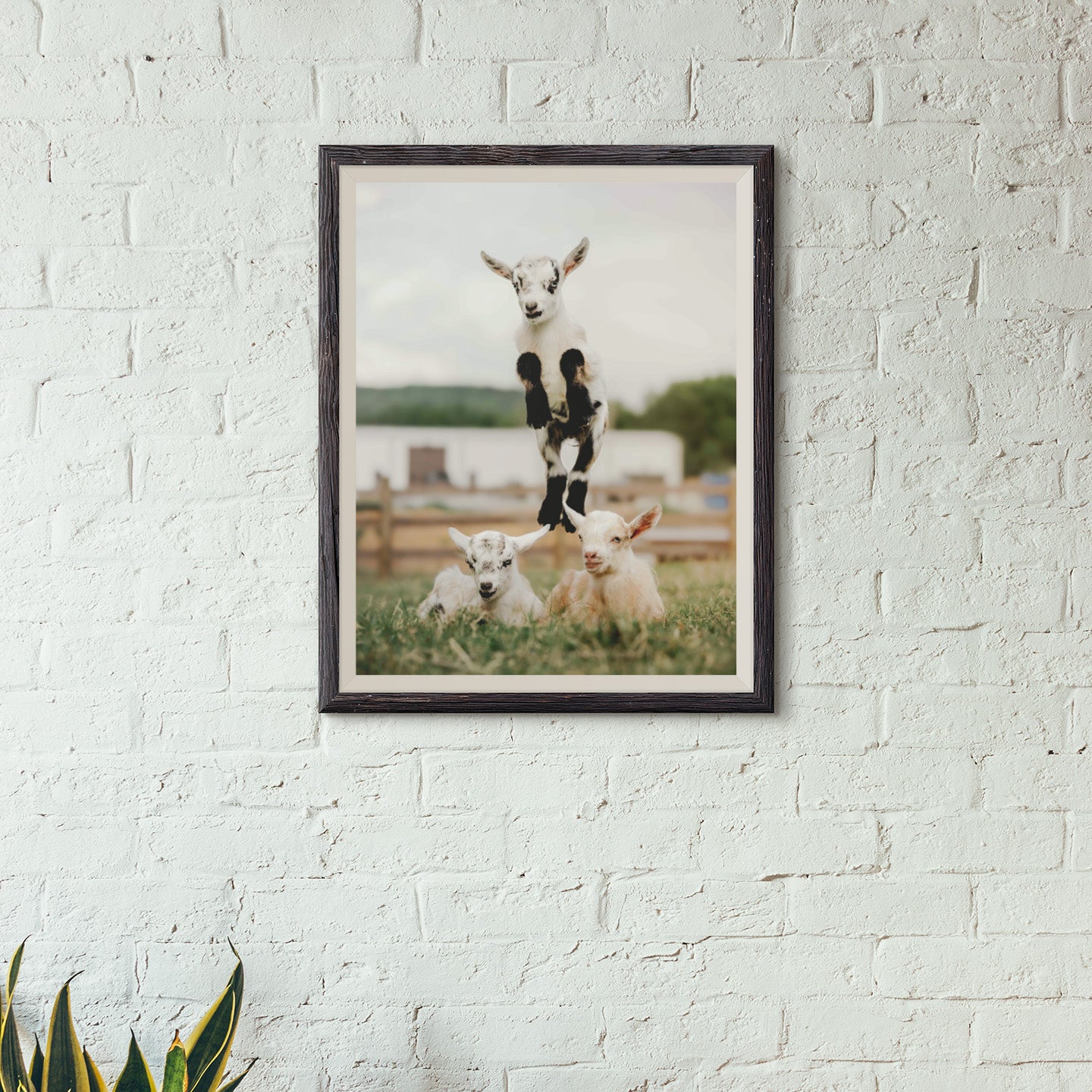 Goat Digital Download Mockup