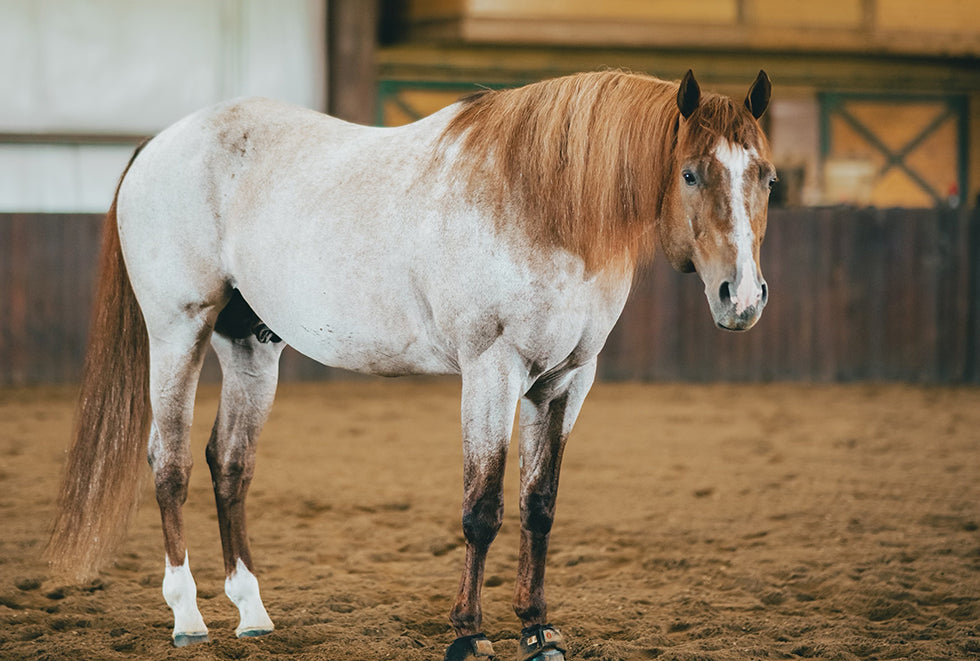 VS Code Red by Katie Van Slyke