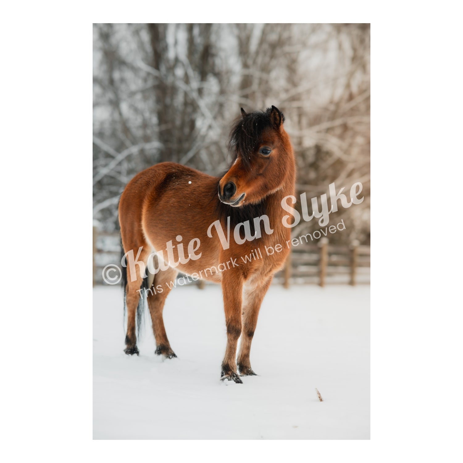 Janis Snow Digital Download by Katie Van Slyke