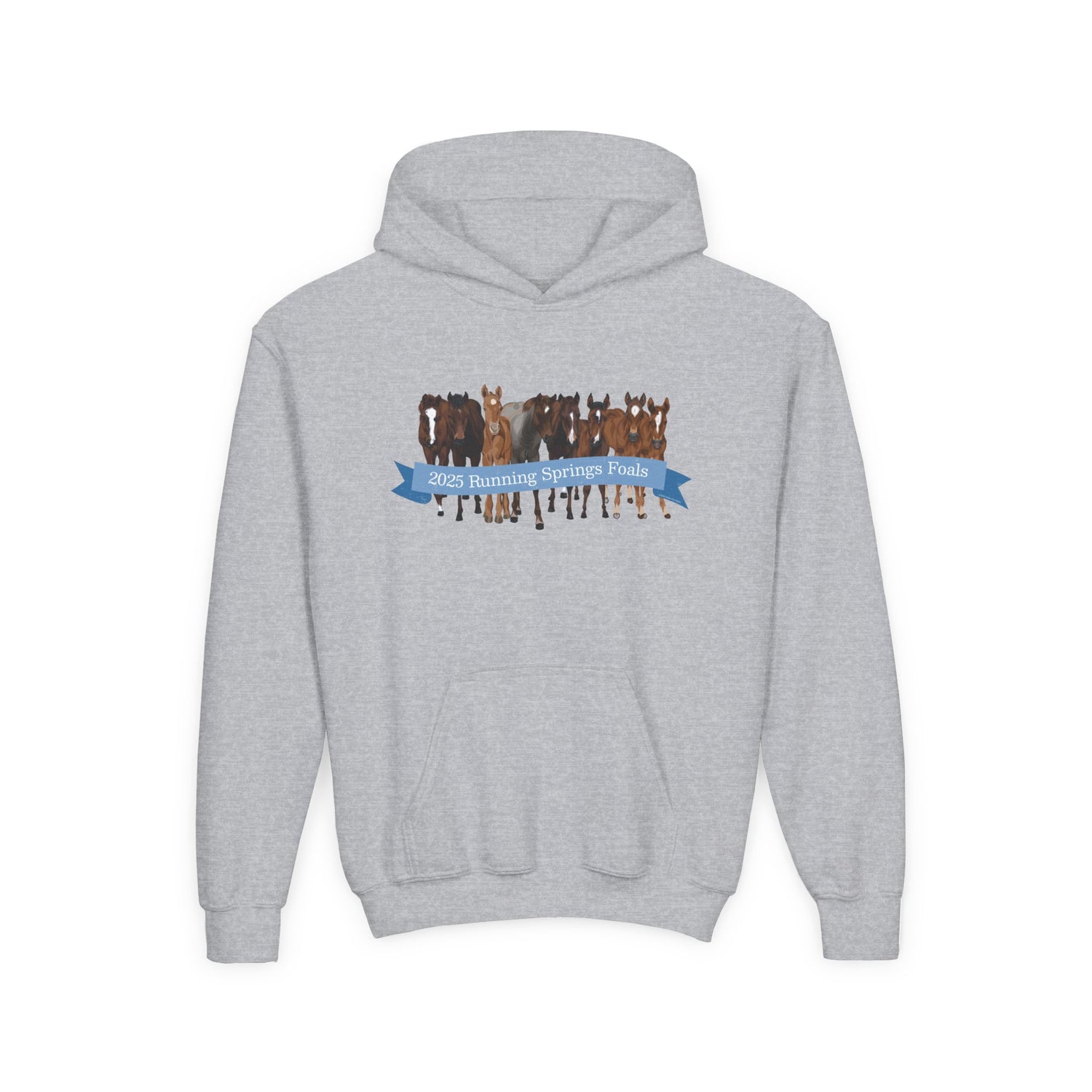 KIDS 2025 Running Springs Foals Hoodie by Katie Van Slyke™ Sport Grey