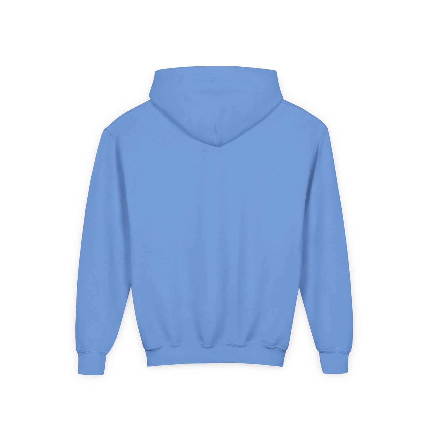 KIDS Turkey Time Hoodie by Katie Van Slyke™ Carolina Blue back