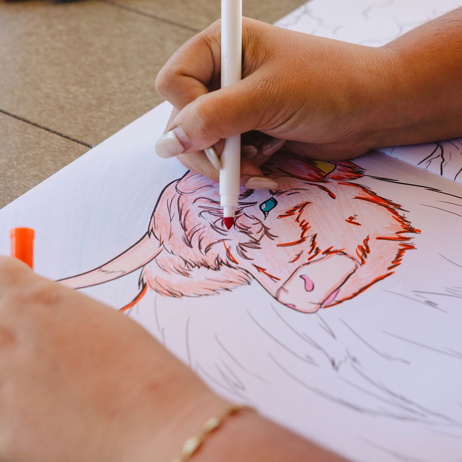 KVS_Coloring-8_PDP