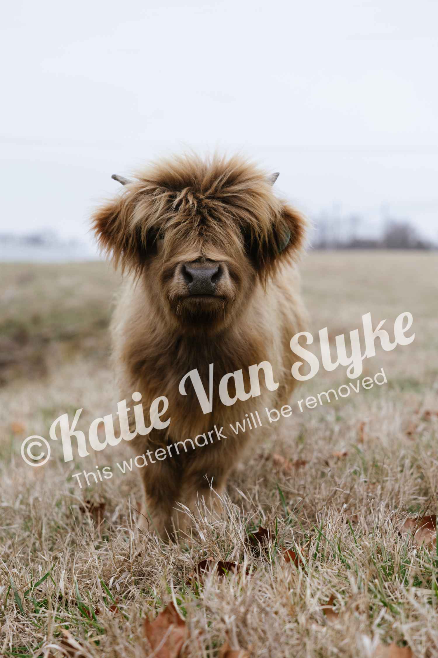 Miss Peanut Digital Download by Katie Van Slyke®