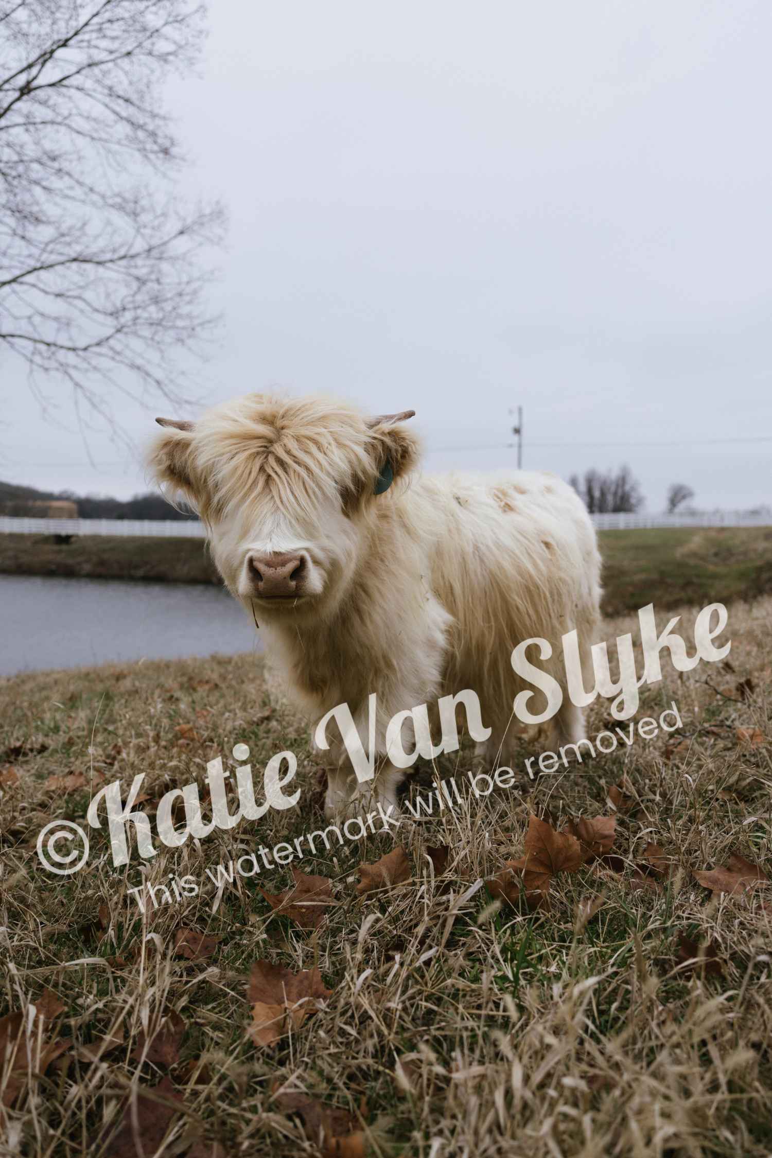 Miss Pearl Digital Download by Katie Van Slyke®