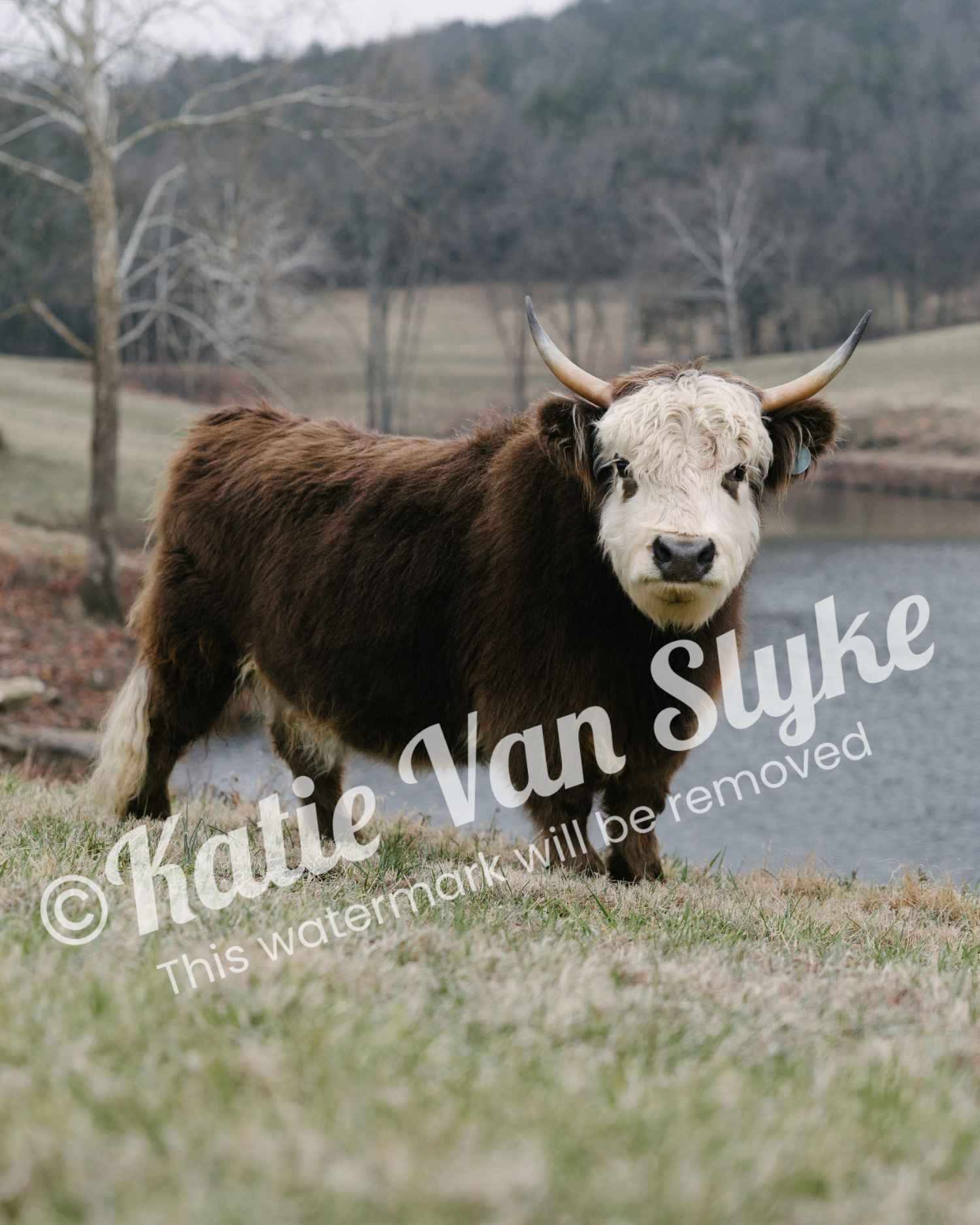 Miss Pippa Digital Download by Katie Van Slyke®