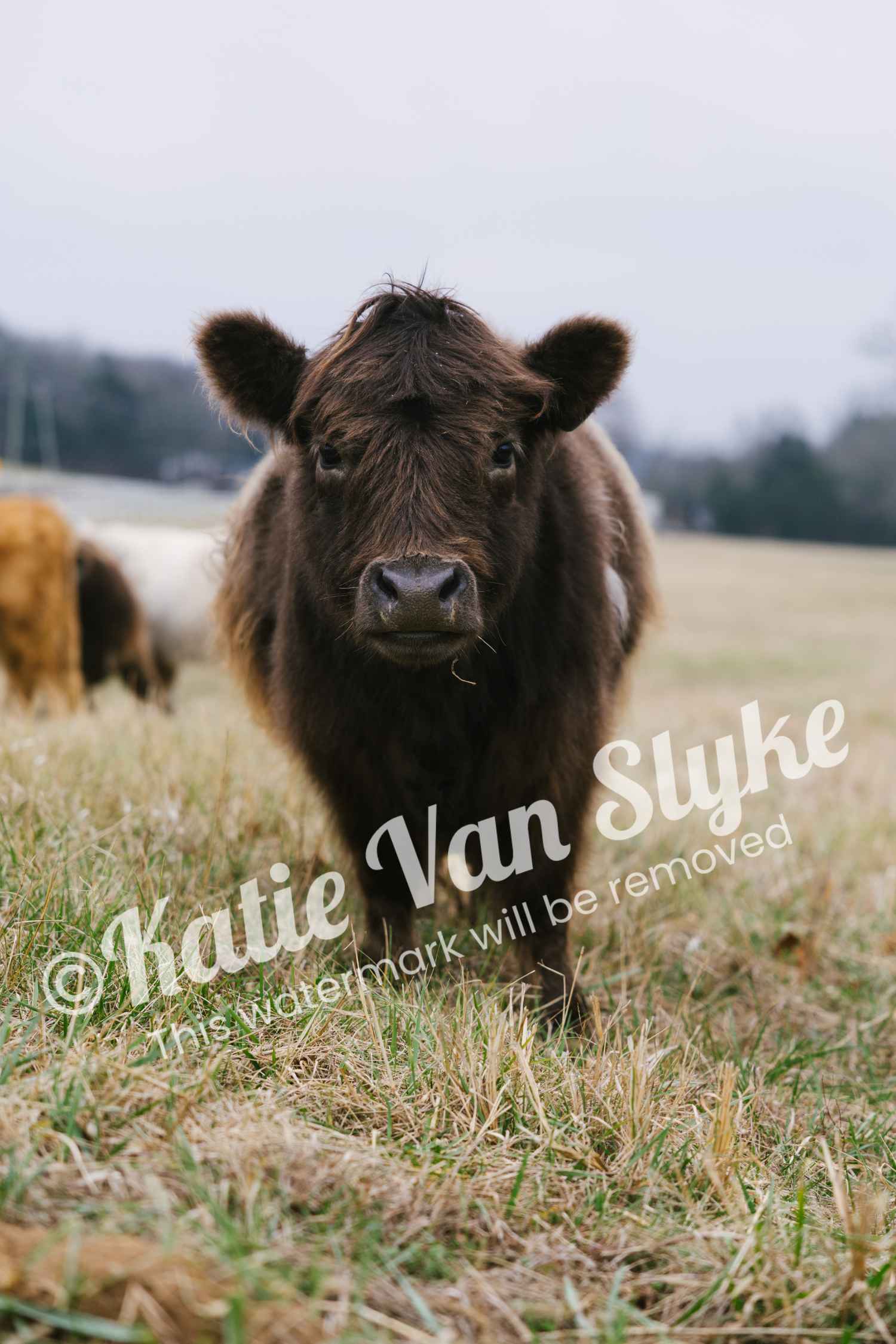 Miss Posie Digital Download by Katie Van Slyke®