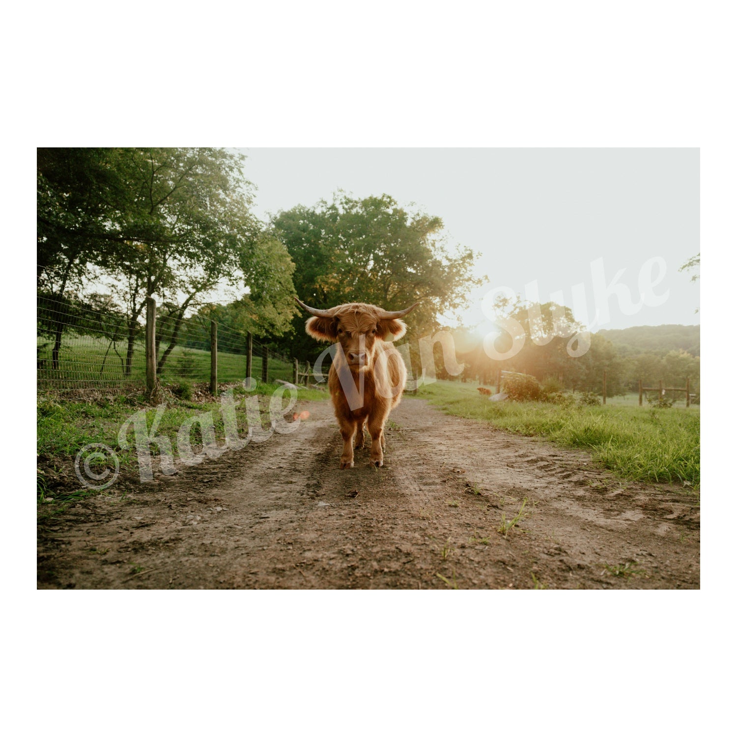 Petunia Digital Download by Katie Van Slyke