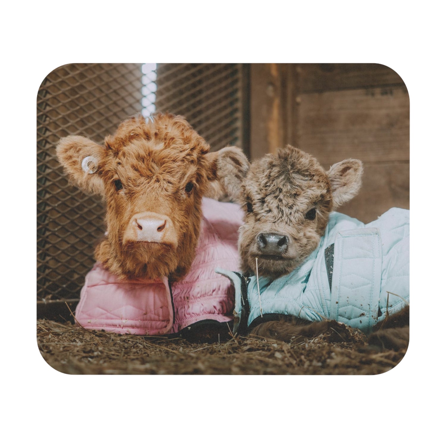 Posie & Pumpkin Mouse Pad by Katie Van Slyke