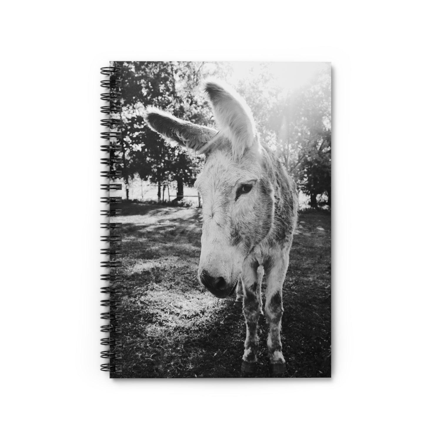 Rooster Notebook by Katie Van Slyke