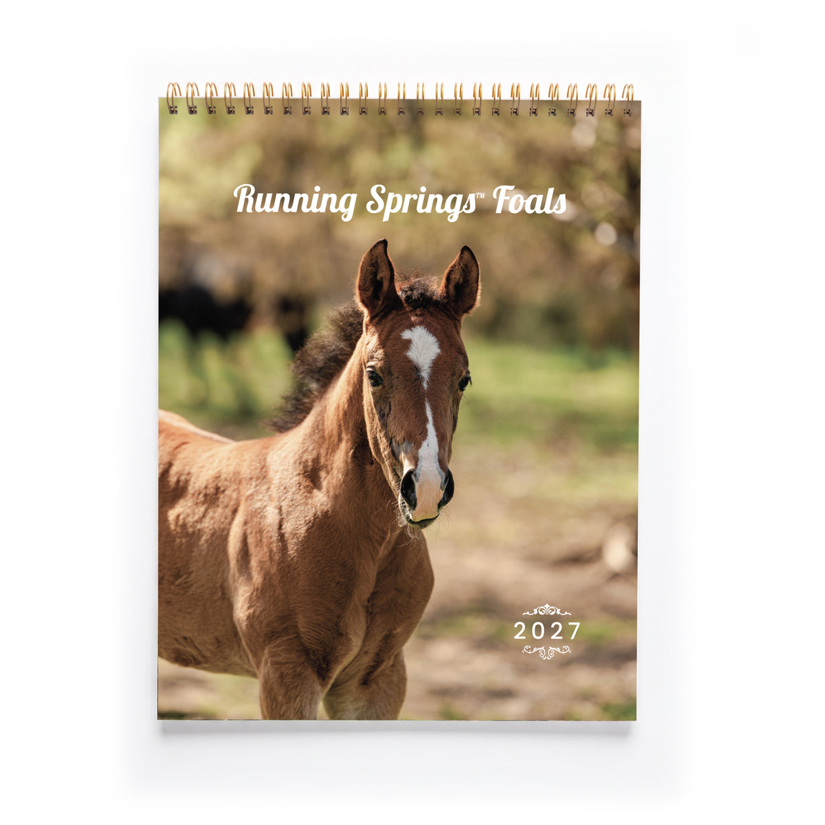 2027 Foals Calendar by Katie Van Slyke®