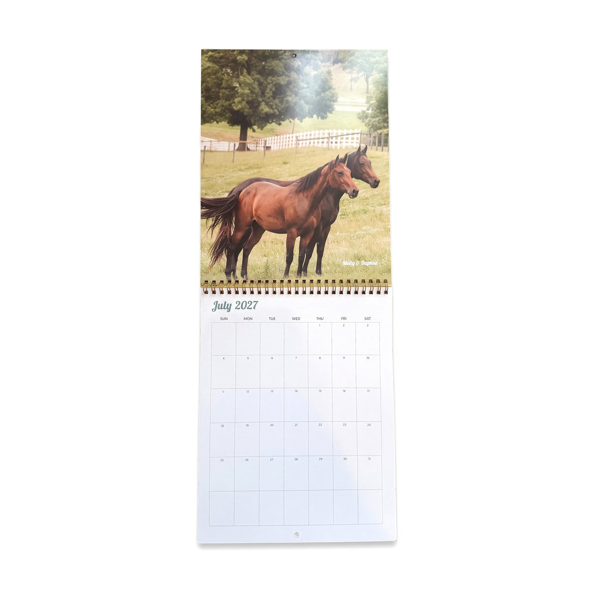 2027 Mares Calendar by Katie Van Slyke®