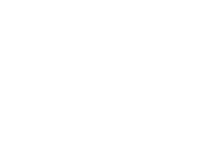 Schneiders_logo