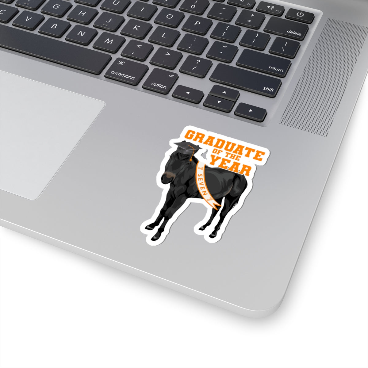 Seven Graduation Sticker by Katie Van Slyke™