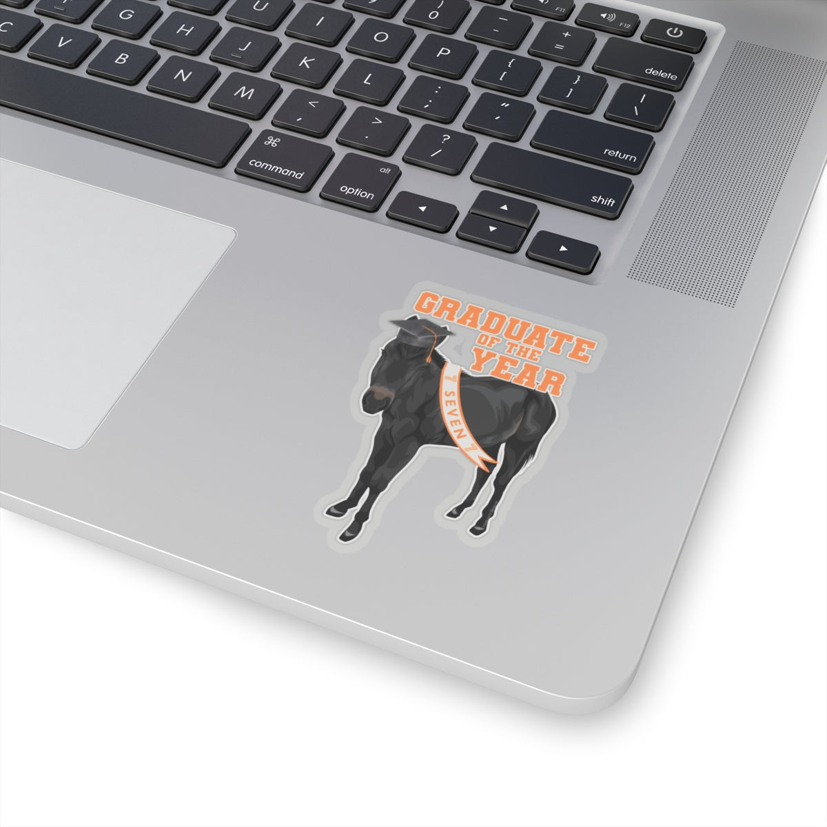 Seven Graduation Sticker by Katie Van Slyke™