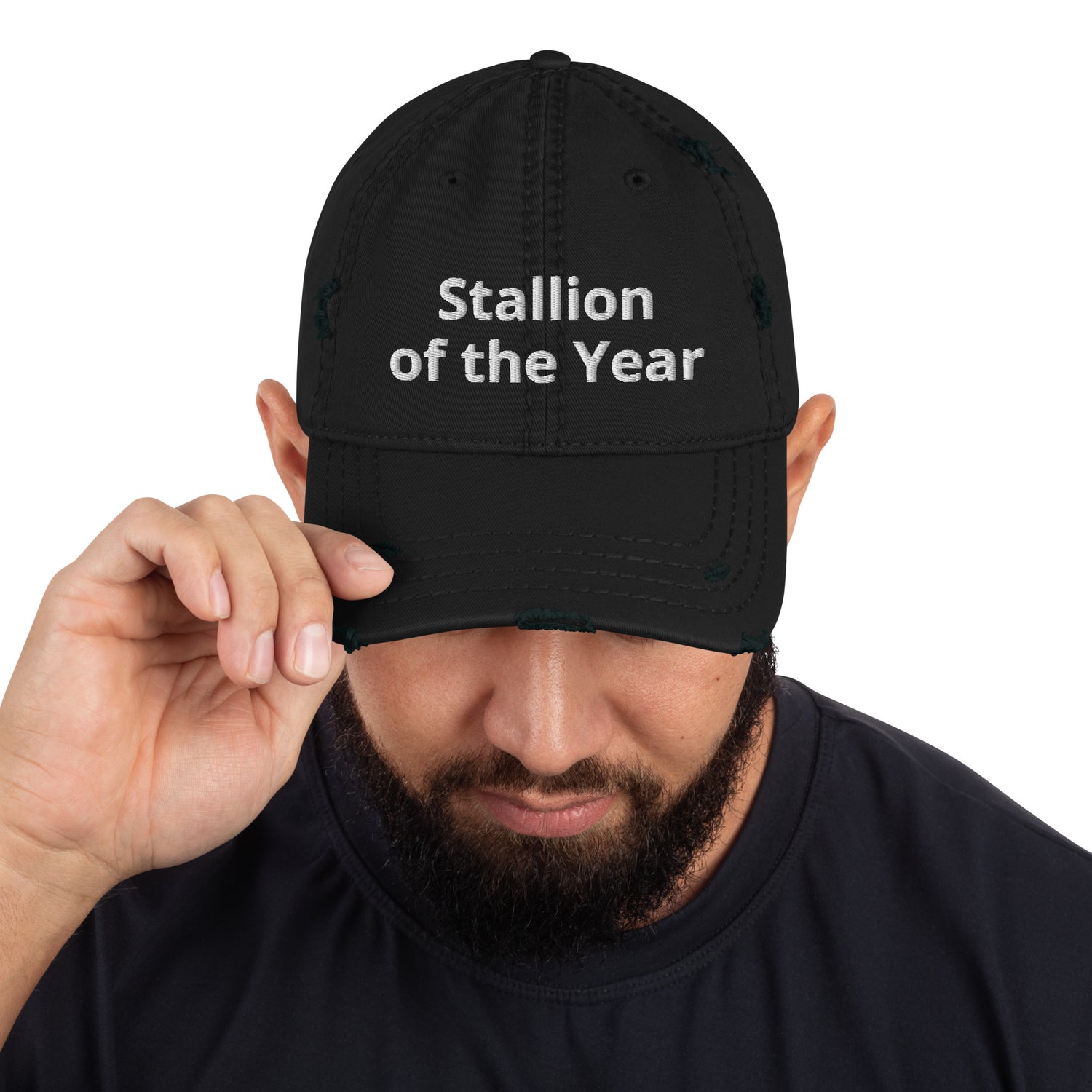 Stallion Dad Hat by Katie Van Slyke