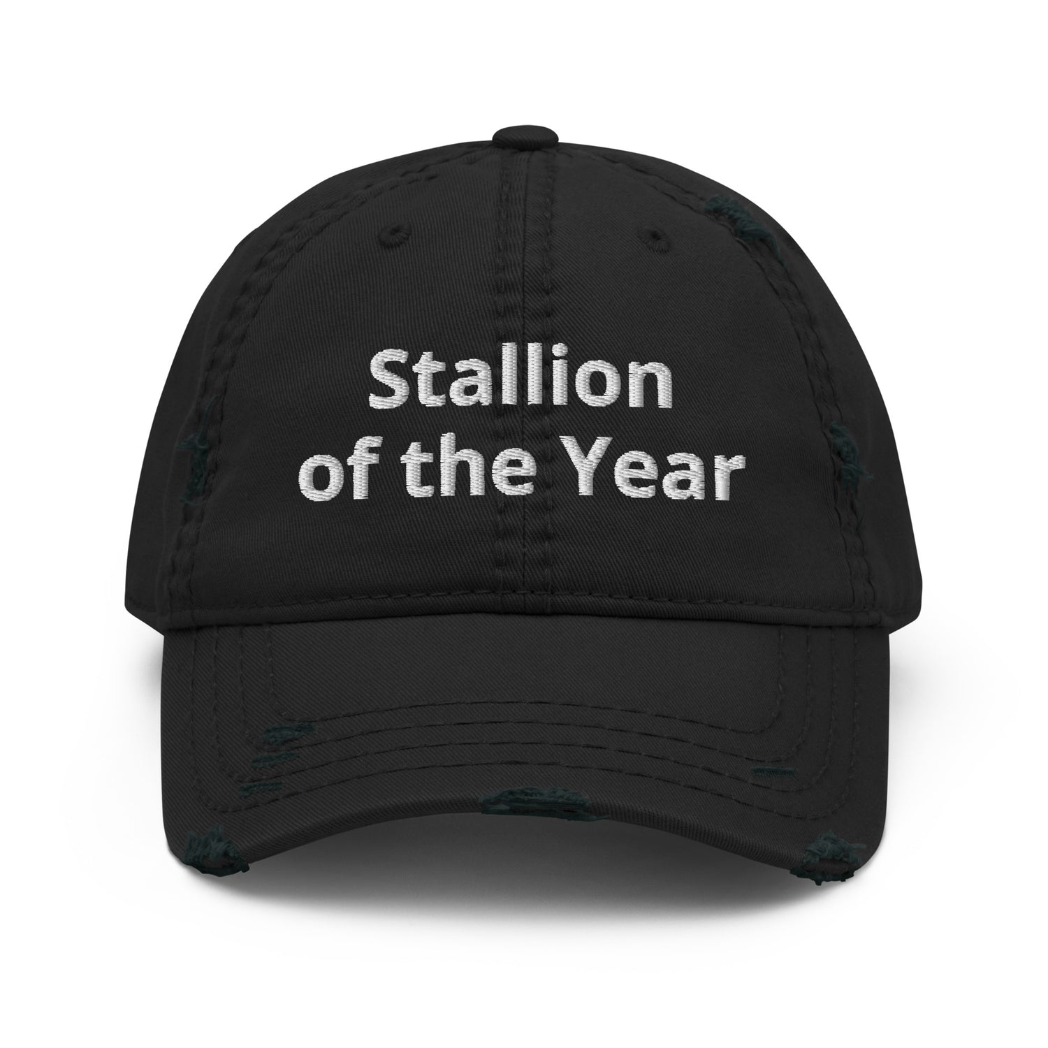 Stallion Dad Hat by Katie Van Slyke