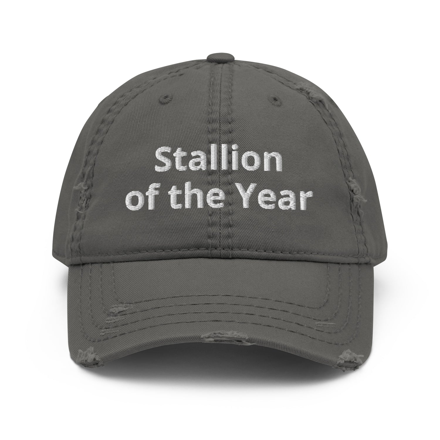 Stallion Dad Hat by Katie Van Slyke