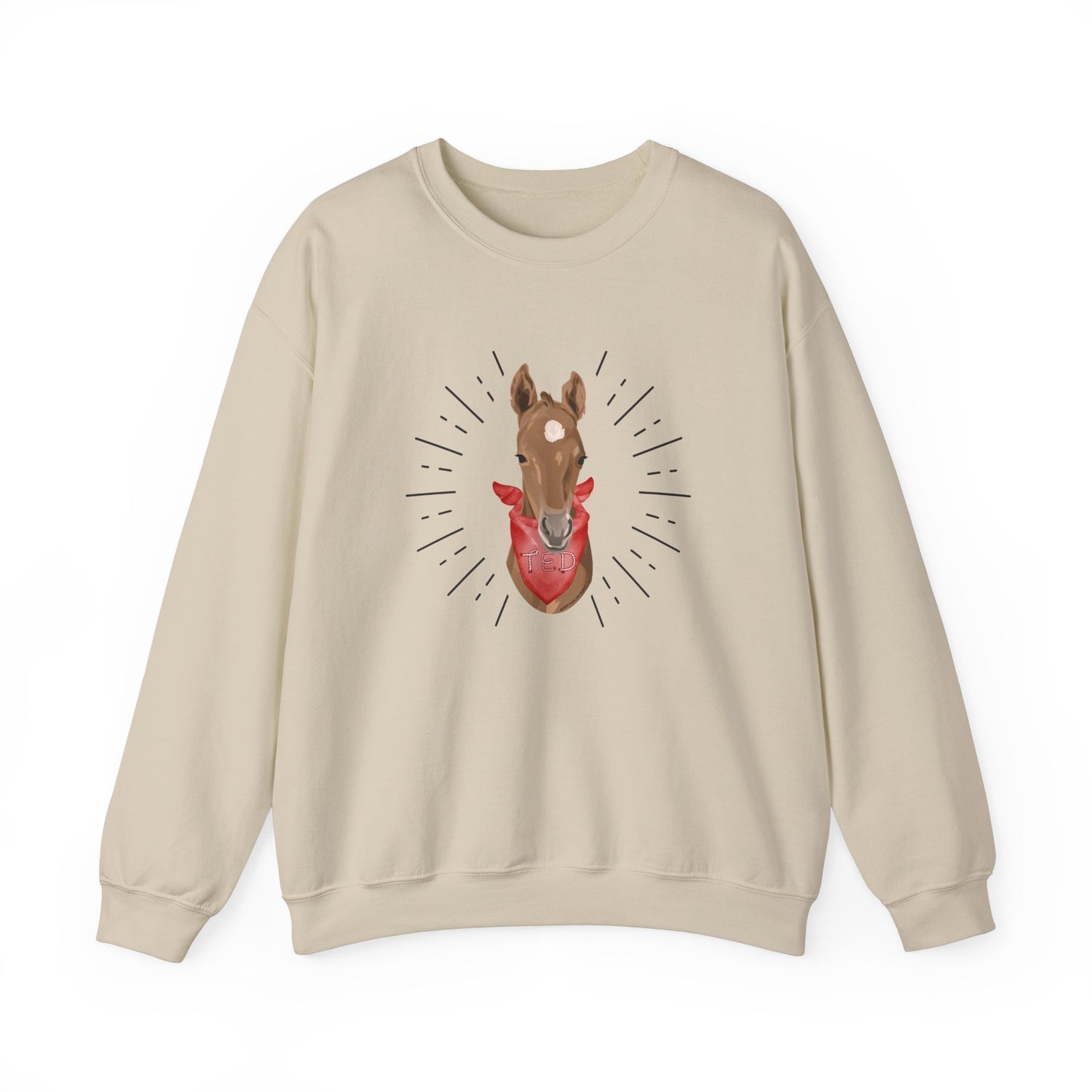 Ted Sweatshirt by Katie Van Slyke™