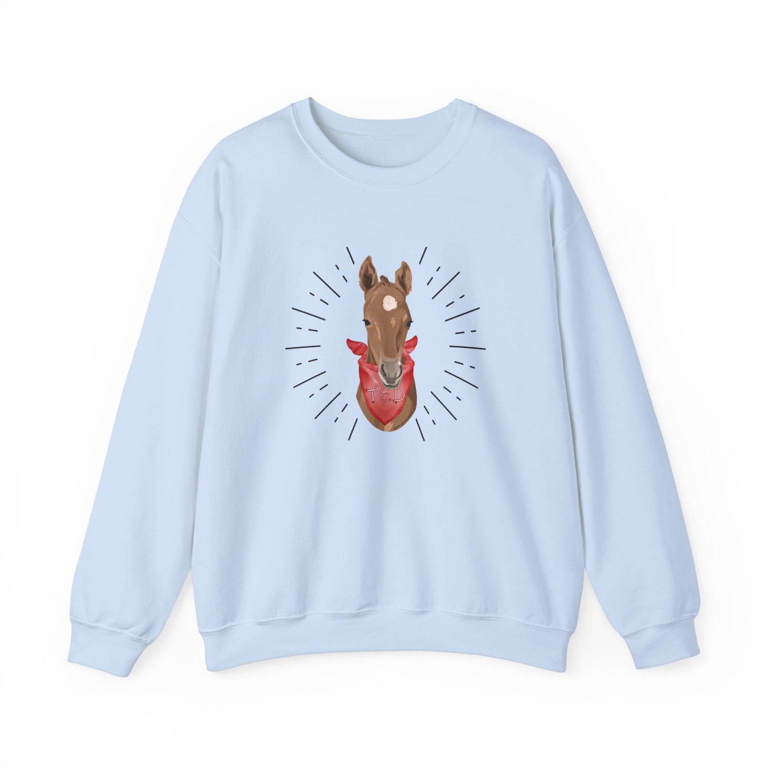 Ted Sweatshirt by Katie Van Slyke™