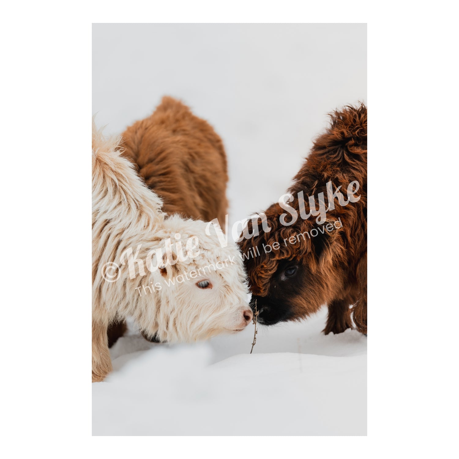 The New Minis Snow Digital Download by Katie Van Slyke