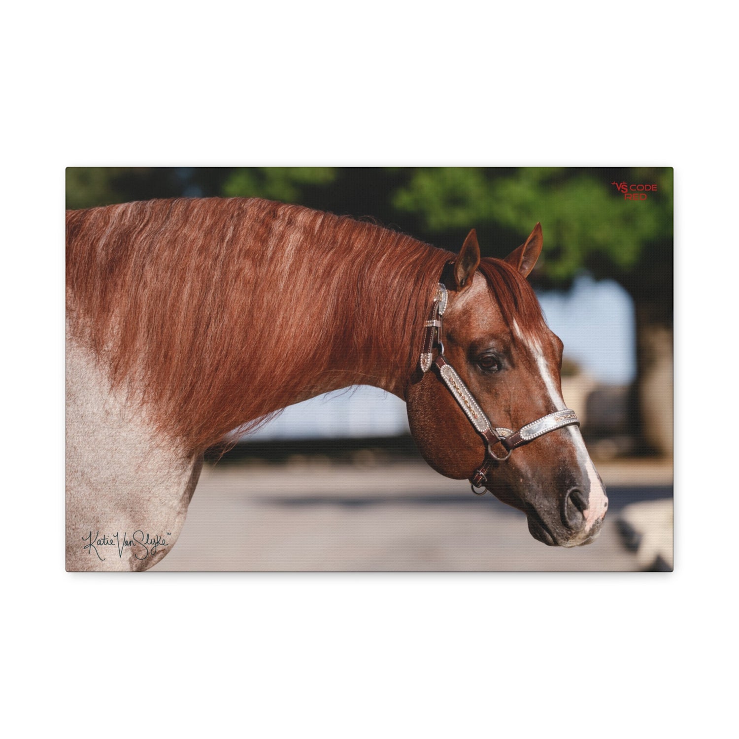 VS Code Red Art Prints by Katie Van Slyke
