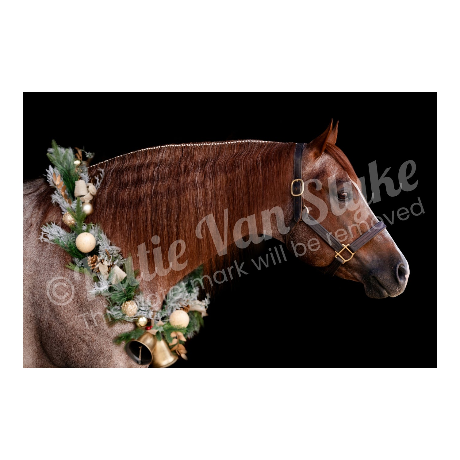 VS Code Red Christmas Digital Download by Katie Van Slyke™