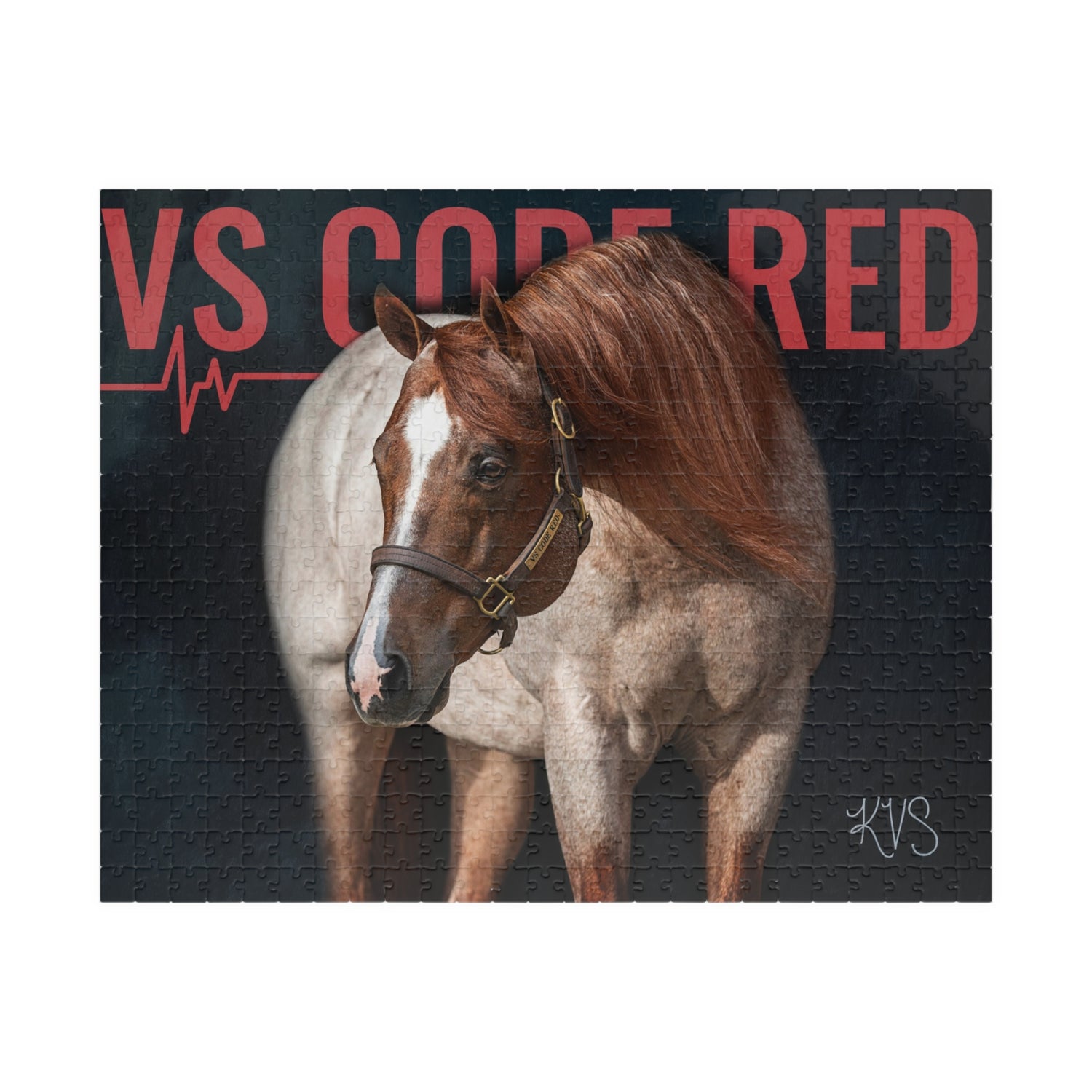 VS Code Red Puzzle by Katie Van Slyke