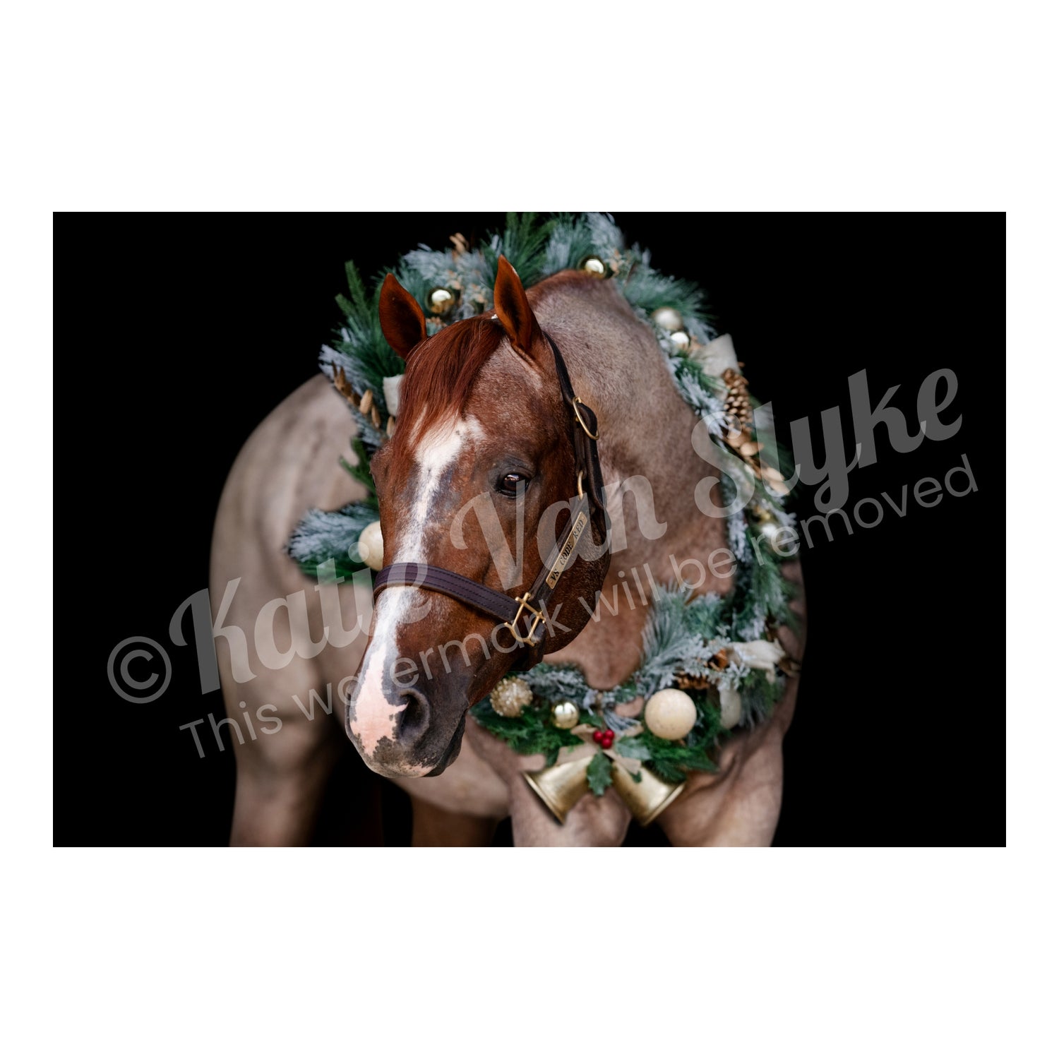 VS Code Red Wreath Digital Download by Katie Van Slyke™