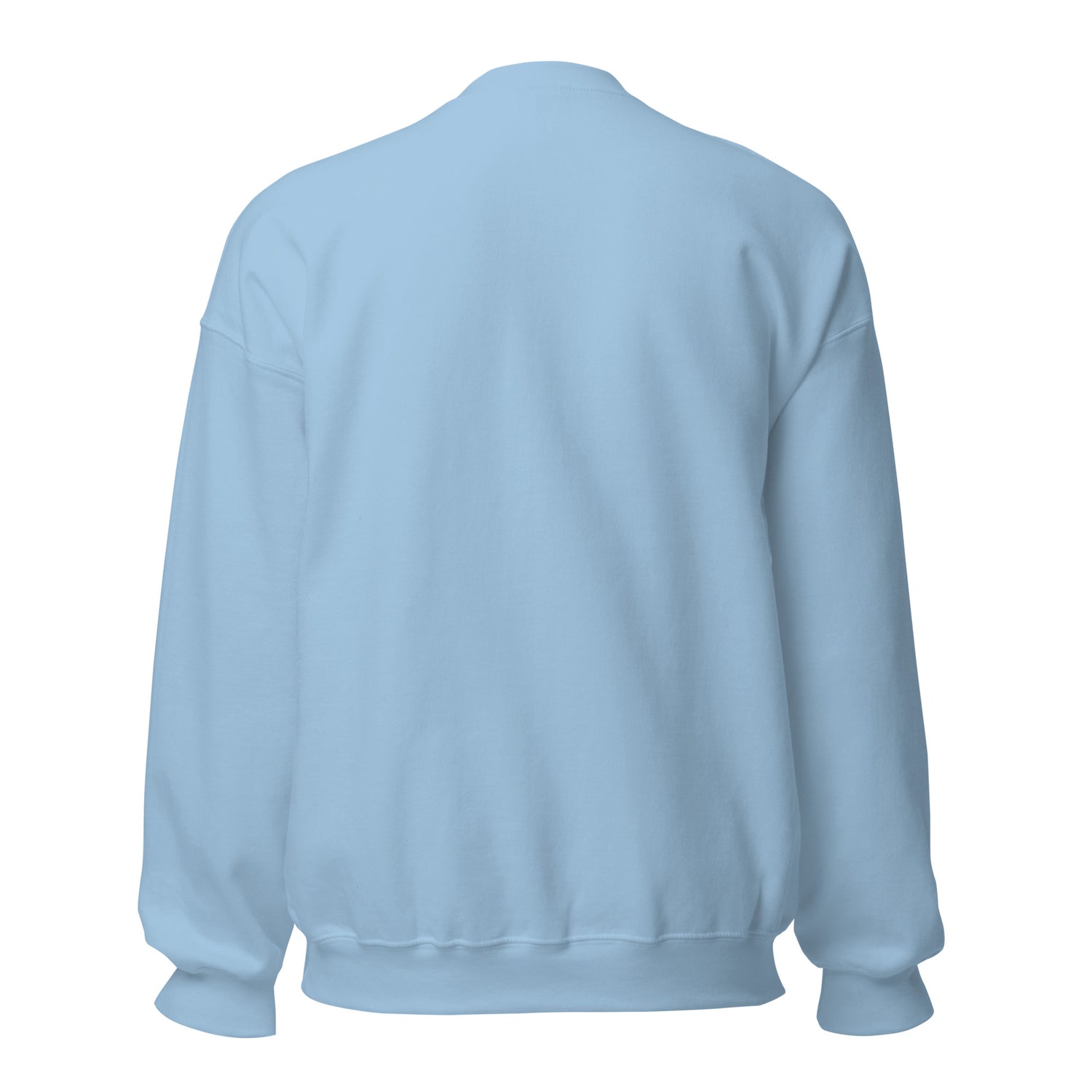 gunner-sweatshirt-by-katie-van-slyke-light-blue-back