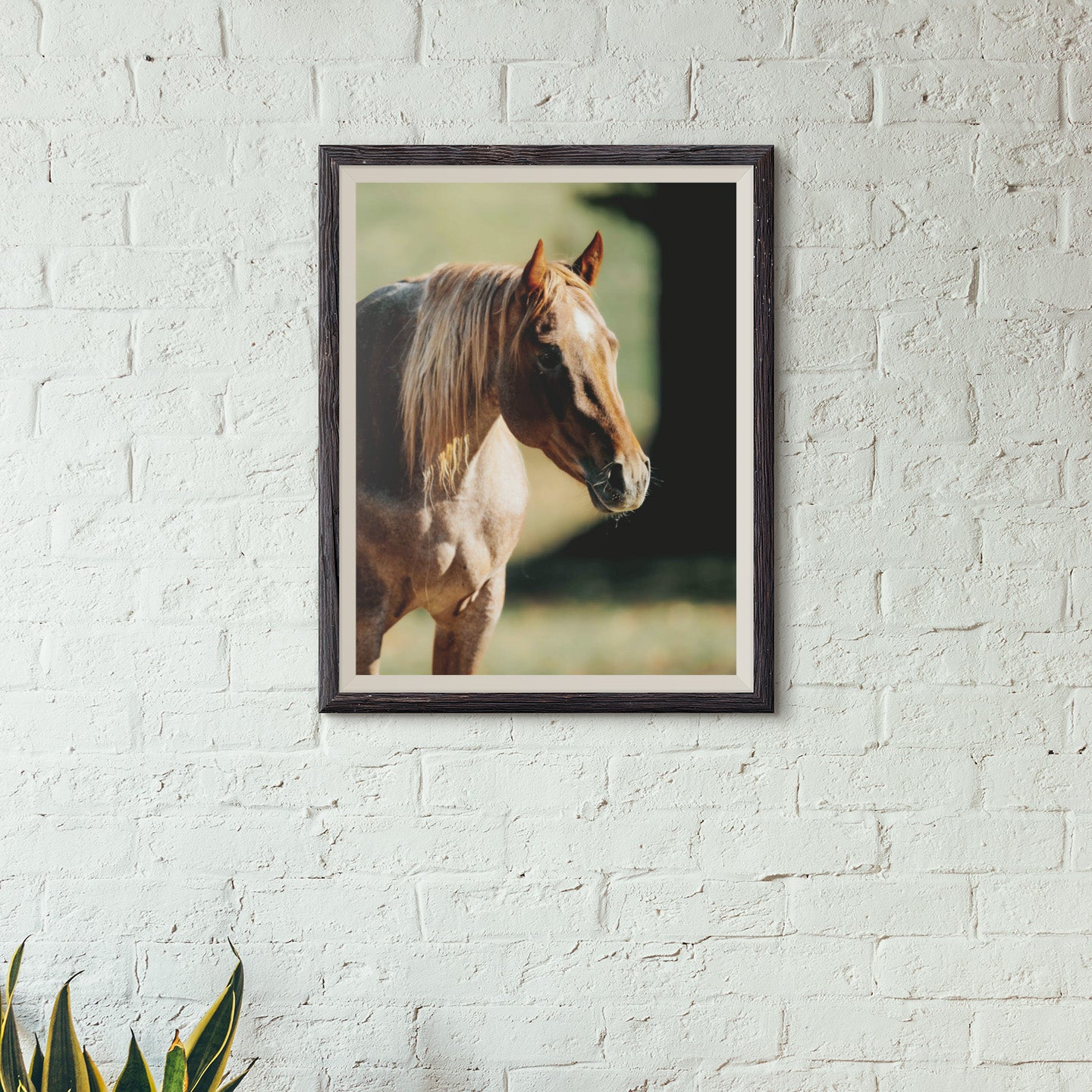 horse Digital Download Mockup