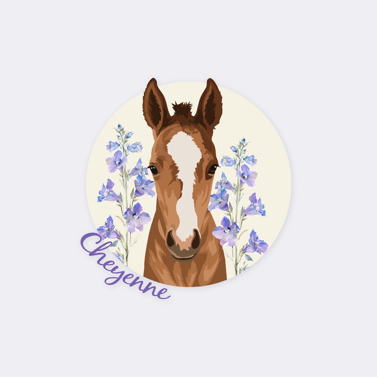 kvs-foals-stickers-cheyenne