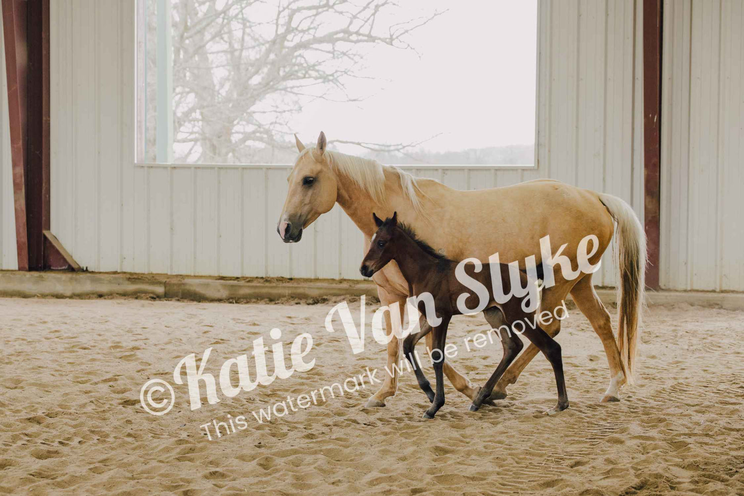 Lexy and Benedict Digital Download by Katie Van Slyke®