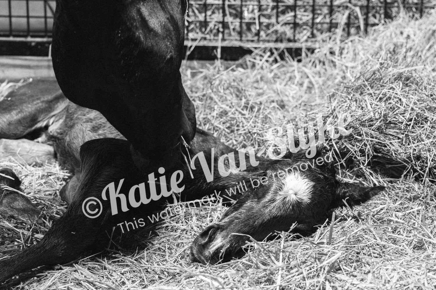 Mama Kisses Digital Download by Katie Van Slyke®