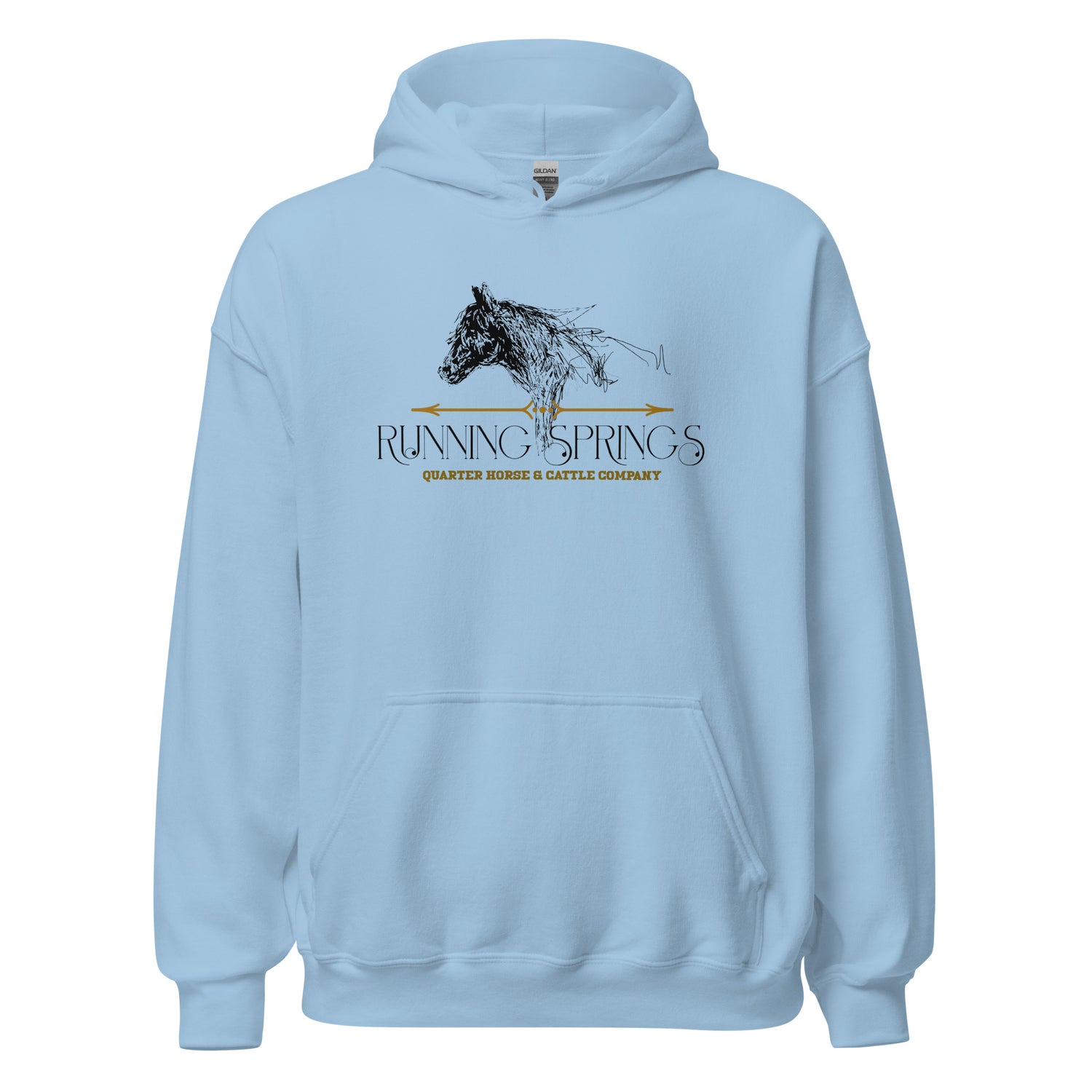 Queen Beyonce Hoodie by Terri Van Slyke - Light Blue