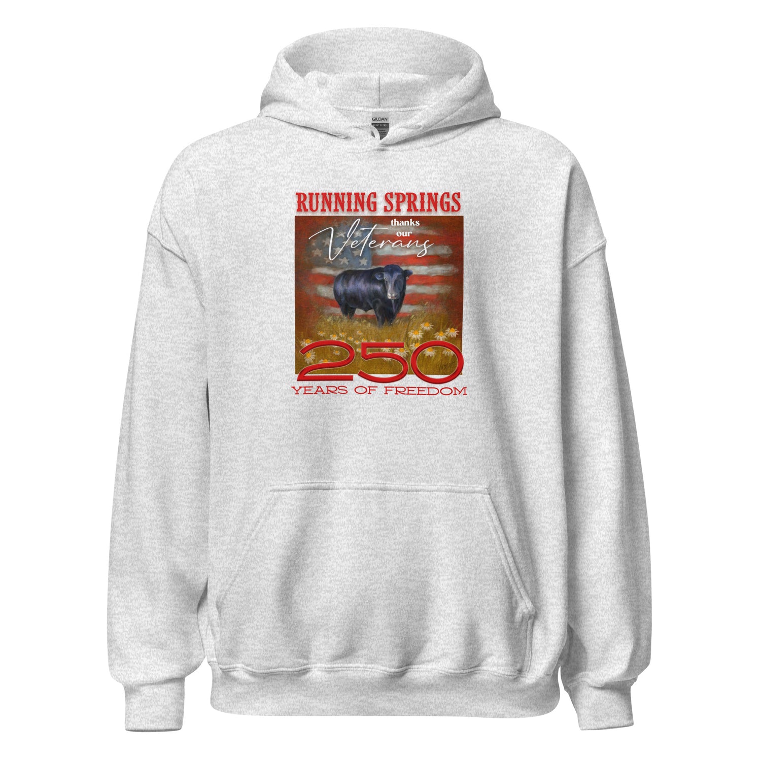 Running Springs 250 Hoodie by Terri Van Slyke - Ash
