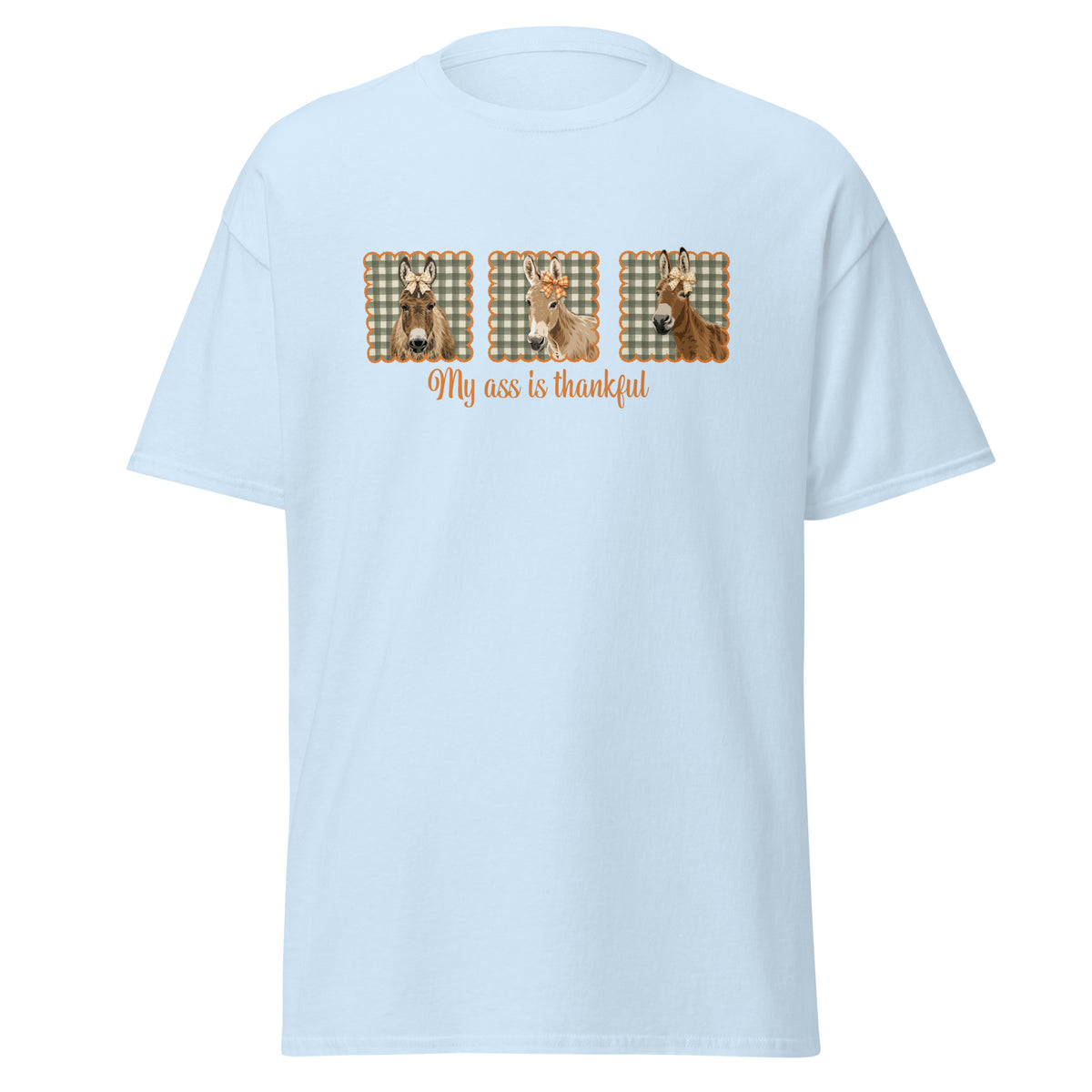 Thankful Donkeys T-Shirt by Katie Van Slyke - Light Blue