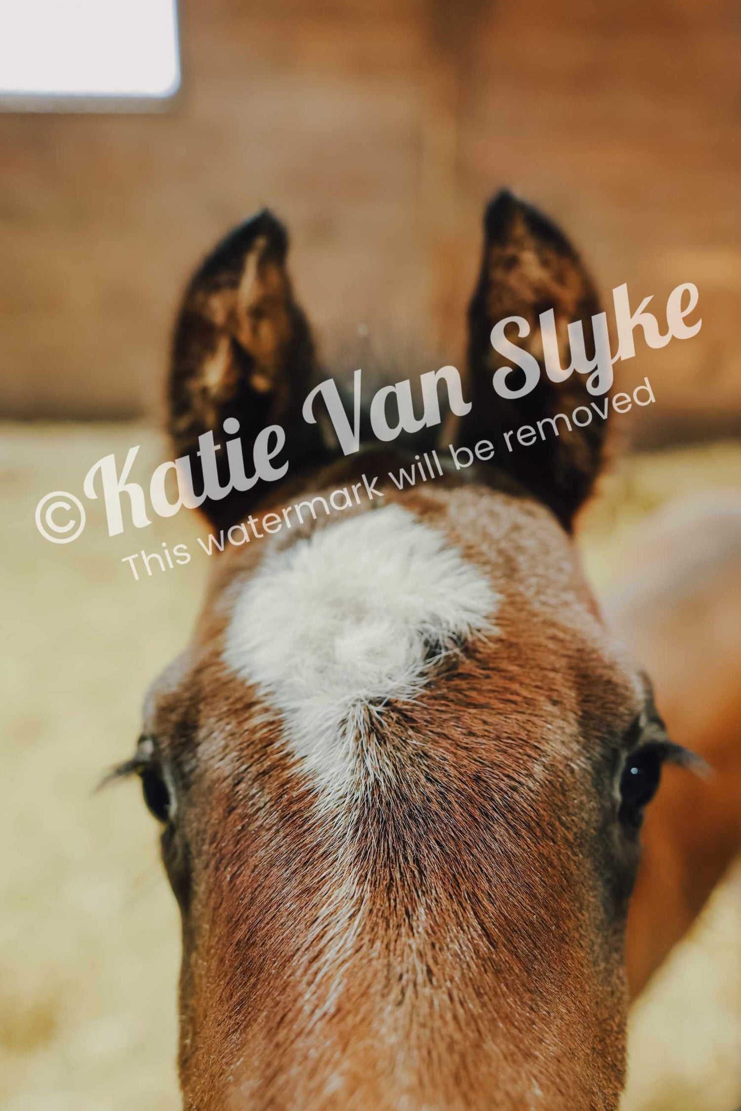 Woody Digital Download by Katie Van Slyke®